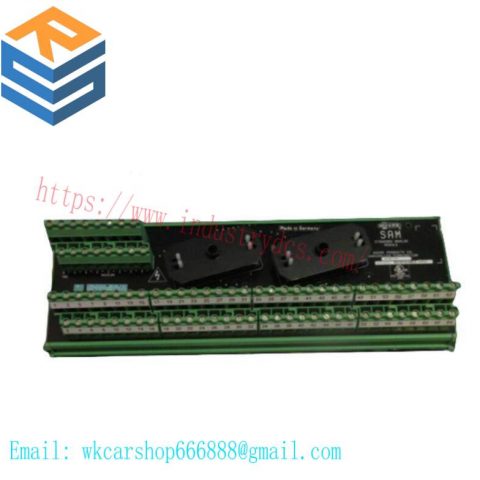 Moore 16169-1-07 SAM Analog Module: Precise Control for Industrial Automation