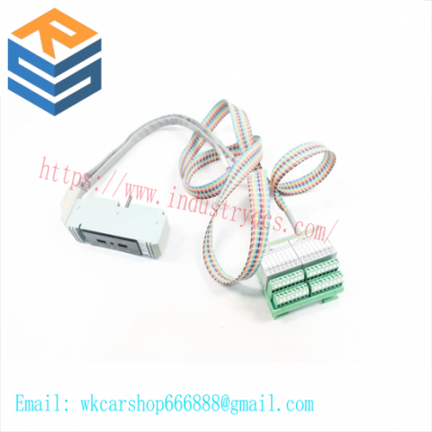 FOXOBORO P0500SR Termination Cable Assembly