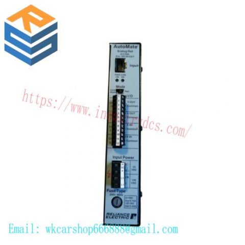 Reliance Electric 61C350 Analog Rail Module, for AutoMax DCS Systems