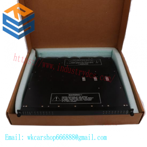 TRICONEX D03401 Digital Output Module
