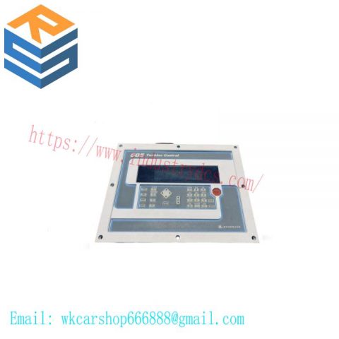 WOODHEAD 9907-163 | Turbine Control Module for 505 Series