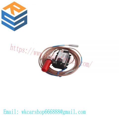 EPRO PR6425/010-100 CON021 - Advanced Eddy Current Sensor