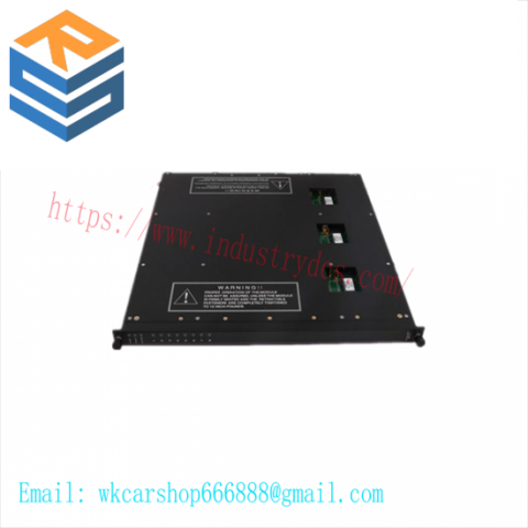 TRICONEX 9561-810 High-Availability I/O Module