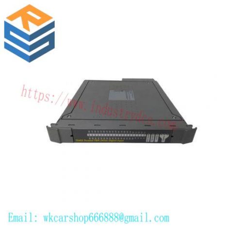 ICS Triplex T8300 Customized Control Module