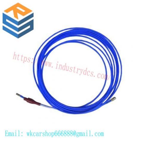 Bently Nevada TM032 Extension Cable - Model A00-B00-C00-D00, Control Module