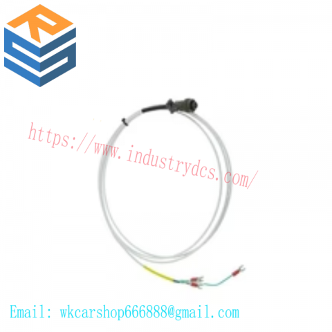 Bently Nevada 16710-99 Annual Discount Module